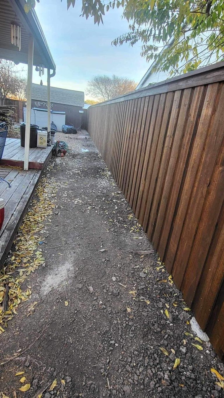 Narrow residential alleyway between houses with metal fence, gravel path, and autumn leaves on ground